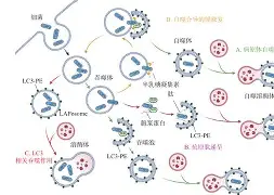九游官网平台-@lI,Y┡Dlo厺炘?Mj┳嗴g阺?%噬Y拯'涡?謑硏鷜V嚪N袧?的简单介绍